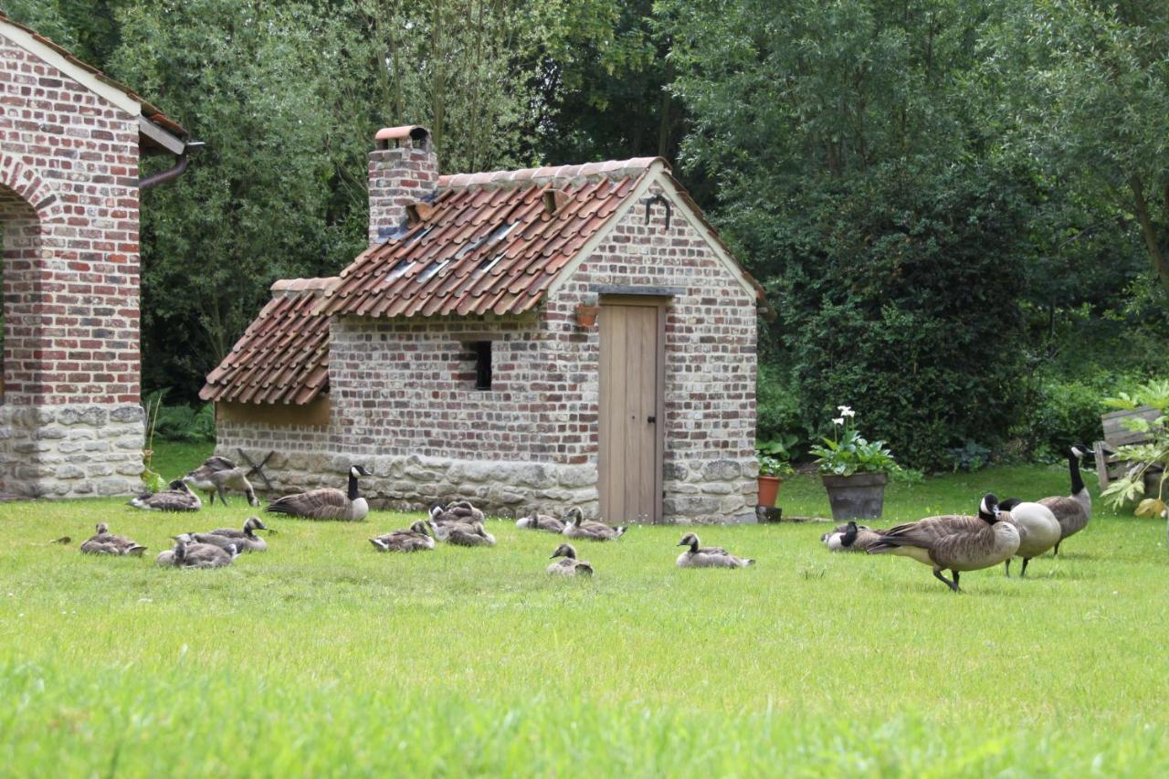Logies Tommenmolen Daire Grimbergen Dış mekan fotoğraf